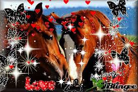 Regardez ces chevaux ce faire un petit bisou. <3